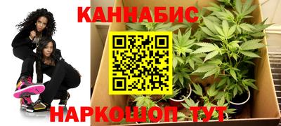 PSILOCYBIN Бугуруслан