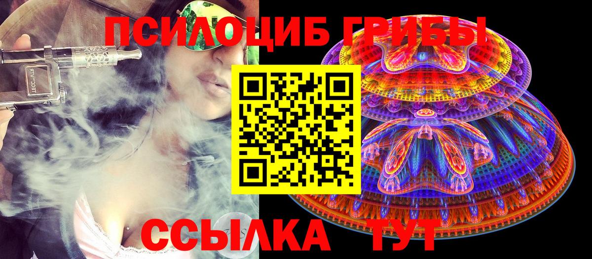 Псилоцибиновые грибы мицелий  Вход с VPN  Сертолово 