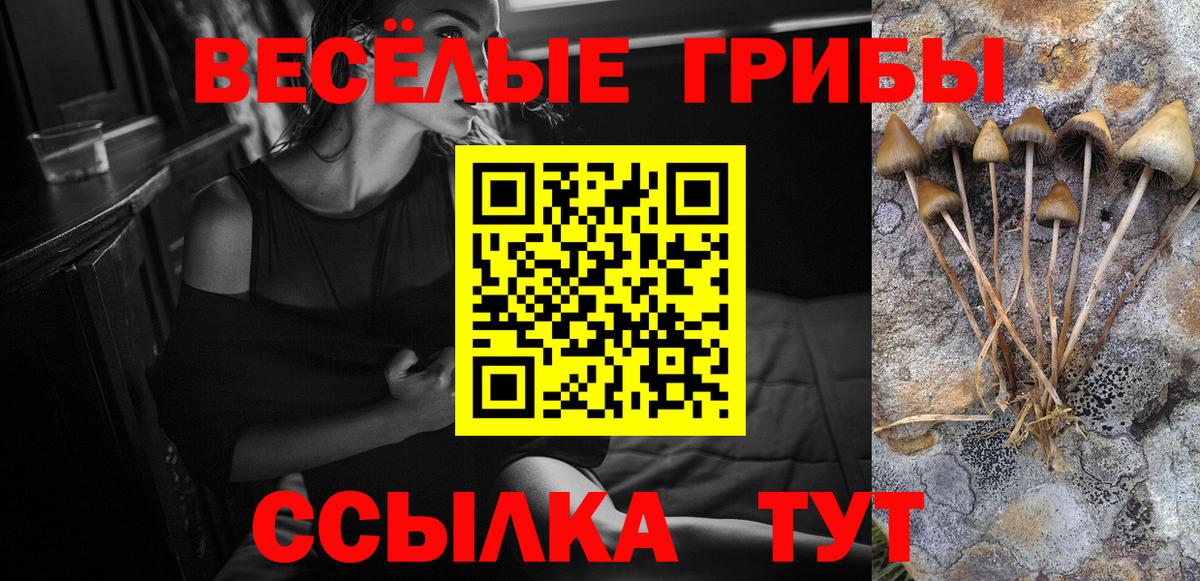 Галлюциногенные грибы ЛСД Сертолово